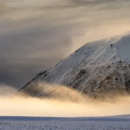 Intentional Landscapes