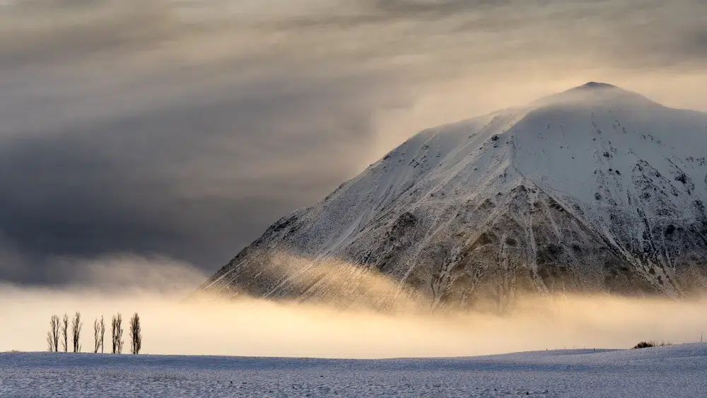 Intentional Landscapes