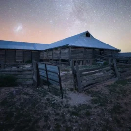 Adam Edwards Free Talk